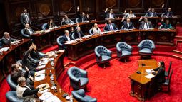 altText(Endometriosis: ¿de qué se trata el proyecto que aprobó el Senado?)}