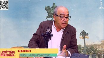 Fratti sobre los mercados: por qué los acuerdos aún no se traducen en exportaciones