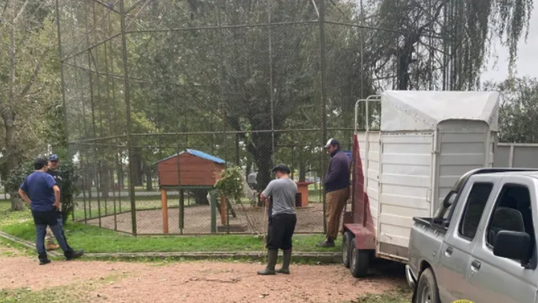 San José cerrará su zoológico y lo reconvertirá con otros fines