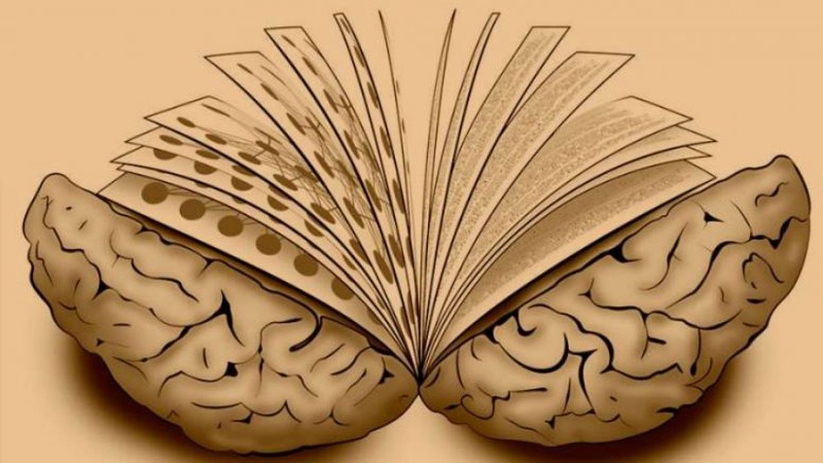 La Importancia De La Lectura Para El Cerebro