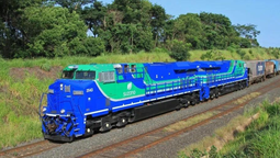 altText(Advierten que empresa celulósica brasileña construye una vía férrea 6 veces más barata que la hecha para UPM)}