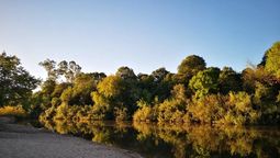 altText(Comenzaron las obras del embalse sobre el río San José)}