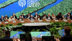 altText(COP 30, es la hora de la verdad)}