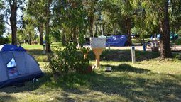 altText(Turismo y salud: MSP emitió recomendaciones por picaduras, mordeduras y dengue)}