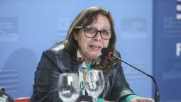altText(¿Cómo sigue la diputada Ana Olivera luego de sufrir un fuerte golpe en la cabeza?)}