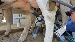 altText(Trabajadores de la Industria Láctea sin acuerdo)}