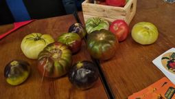 altText(Paysandú: viaje en tren a los sabores tradicionales)}