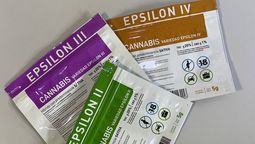 altText(Cannabis: se afianza el mercado legal y reduce el narcotráfico a mínimos históricos)}