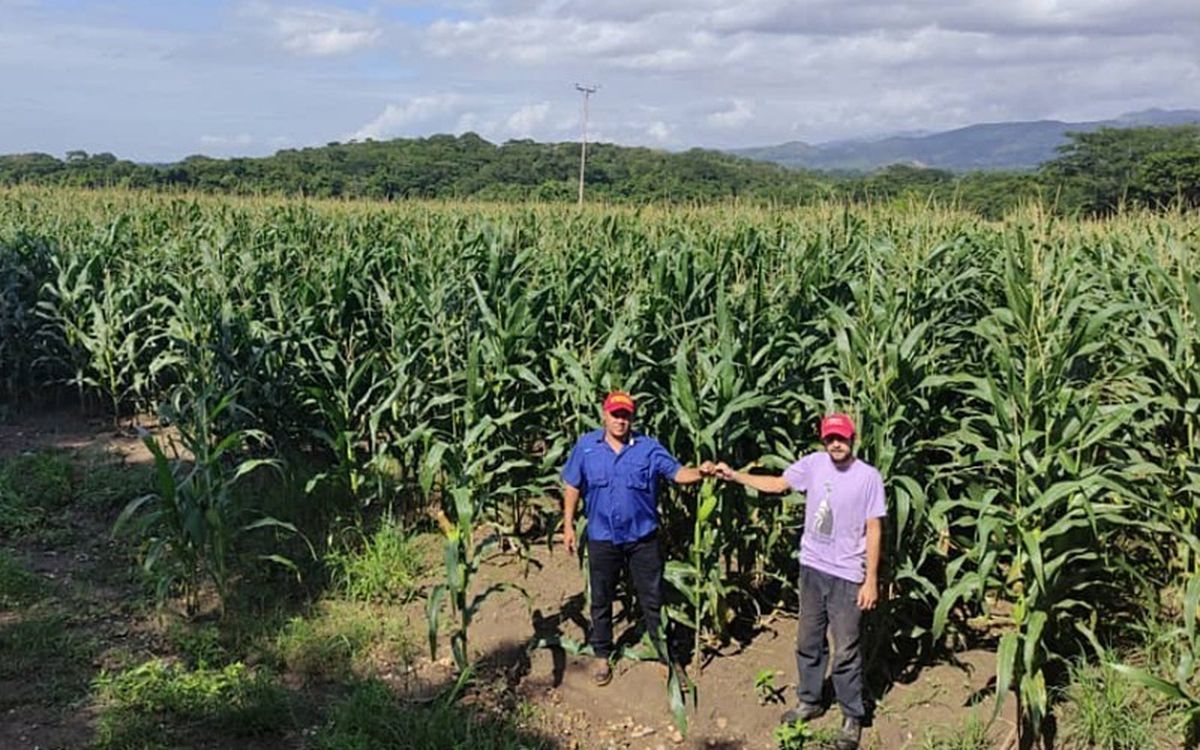 Venezuela entrega tierras al MST para proyecto de Soberanía Alimentaria.