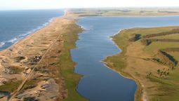 altText(Se abre barra de Laguna de Rocha sin consulta de la Comisión Asesora Específica)}