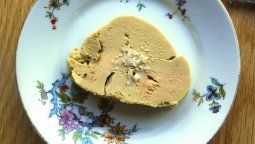altText(Brasil avanza hacia la prohibición del foie gras: una práctica de tortura animal)}