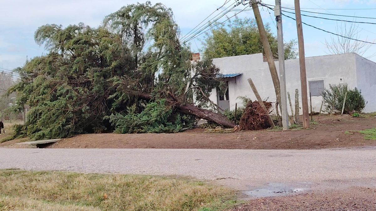Voladuras de techos en varias viviendas por temporal en Cerro Largo