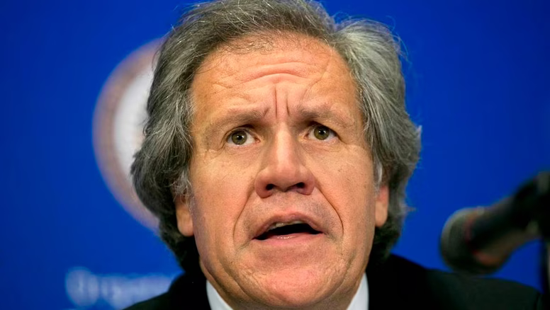 Luis Almagro violó obligaciones éticas de la OEA