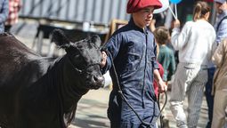 altText(Advierten por estafa en la Expo Prado: ofrecen 