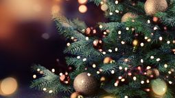 altText(La IM definió horarios especiales por las fiestas tradicionales)}