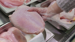 altText(¿Por qué la baja del precio del pollo no llega al consumidor y se amplía la brecha en la cadena avícola?)}