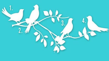 Test de personalidad: ¿eres una persona honesta?