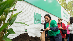 altText(Programa laboral 