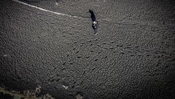 altText(Bombas de humo)}