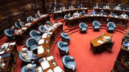 altText(Se aprobó en la Cámara de Senadores proyecto de Ley Forestal)}