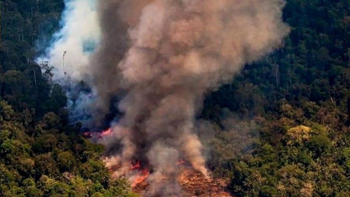 Incendios siguen sin control y Lacalle viaja a la zona más afectada