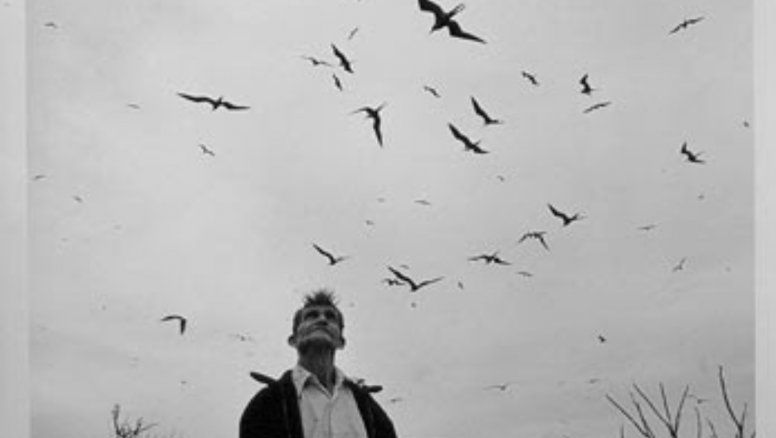 Focus: la fotografía latinoamericana en José Ignacio
