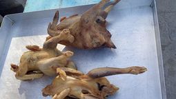 altText(Flaca polémica: ¿Cómo sacar carne de las gallinas solidarias del Mides?)}