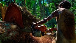 altText(Tragedia ambiental en el Amazonas por reducción de cuidados del gobierno de Bolsonaro)}