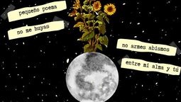 altText(Verso a verso)}