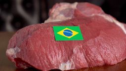 altText(China retoma la importación de carne brasileña)}