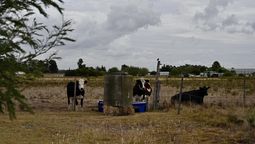 altText(MGAP extendió a 12 departamentos las medidas para paliar falta de agua)}
