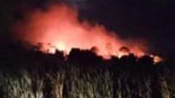 altText(Incendio en Parque del Plata fue controlado)}