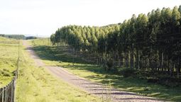 altText(Se enriquece el agro por exportaciones forestales)}