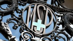 altText(MSP advierte de serpientes potencialmente peligrosas)}