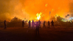 altText(Se logró controlar el incendio en el Cerro del Toro )}