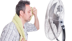 altText(UTE: ola de calor provocó pico histórico de consumo )}