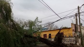 Solidaridad obrera con los damnificados de Paysandú
