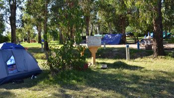 Turismo y salud: MSP emitió recomendaciones por picaduras, mordeduras y dengue