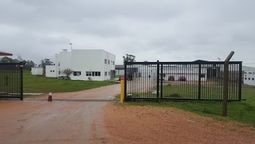 altText(Frigorífico Clay: una empresa de prácticas abusivas y despóticas)}