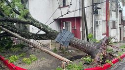 altText(Temporal en Salto y lluvias en Tacuarembó provocan daños)}