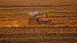 altText(El 2020 deja un sabor agridulce para el campo)}