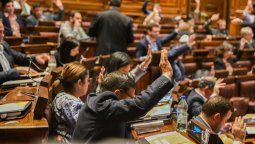 altText(Caja de Profesionales: Diputados aprobó el proyecto y pasó al Ejecutivo para su promulgación)}
