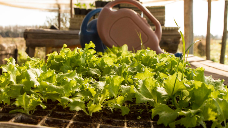 Mujeres y soberanía alimentaria: seminario, taller y feria