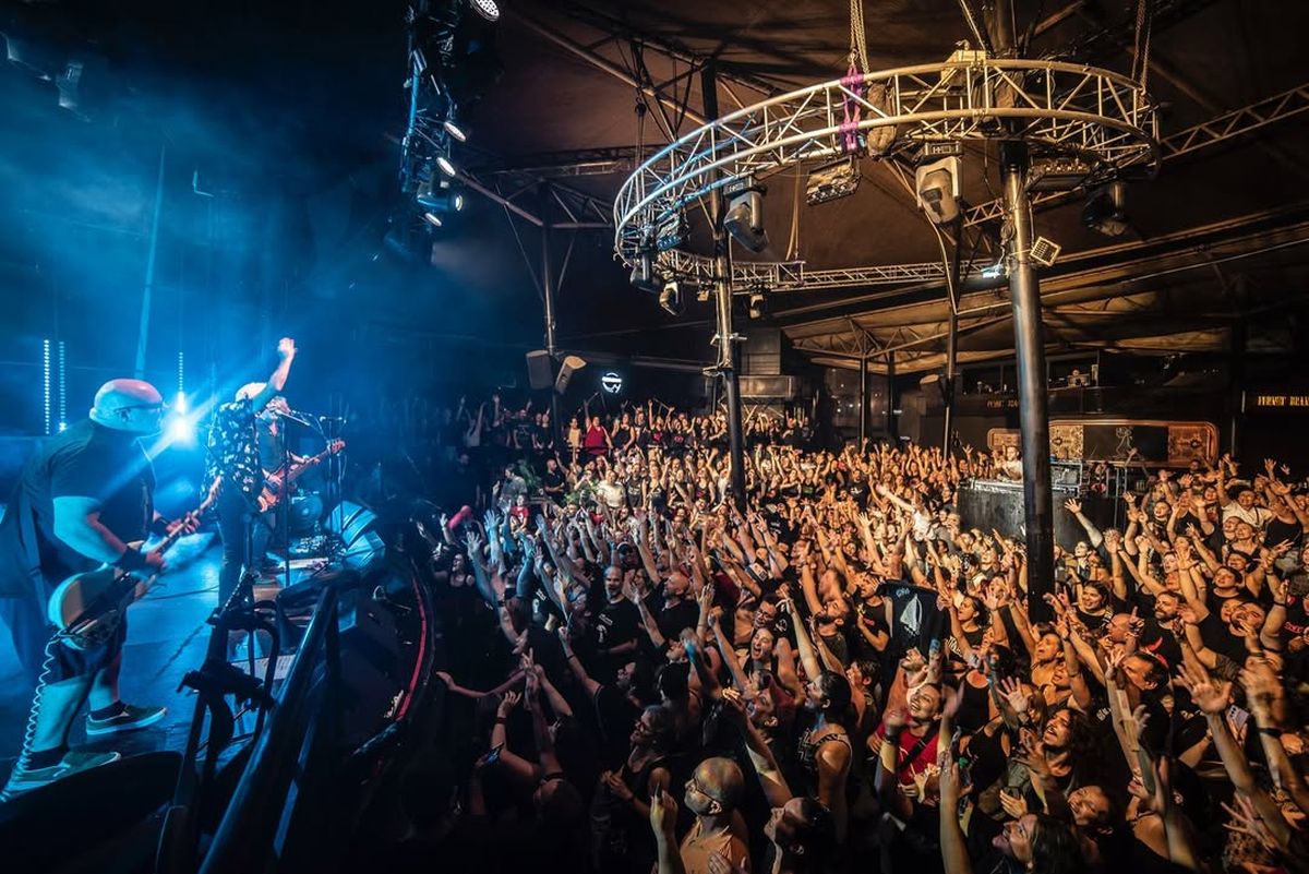 Buitres en Plaza Mateo