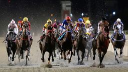 altText(Gran Premio Ramírez: 13 caballos van por la gloria en Maroñas)}