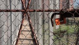 altText(Suinau desmiente las declaraciones de Rosanna de Olivera, presidenta del INISA)}