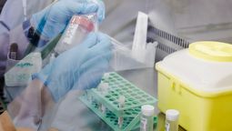 altText(Seis muertos por covid-19 en la primera semana de octubre)}