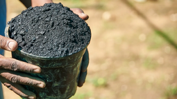 altText(Fertilizantes: Más del 40% de la población mundial se verá afectada por la escasez de alimentos)}