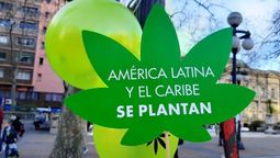 altText(Coordinadora de grupos Cannábicos marchó este lunes hacia el Palacio Legislativo)}