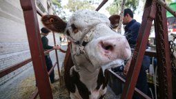 altText(Las posibles vías de investigación sobre lavado de activos)}